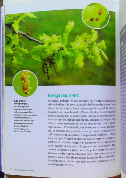 Dans la peau d'une plante - 70 Questions Impertinentes Sur La Vie Cachée Des Plantes – Image 8