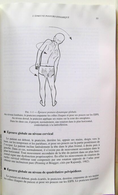 Entrees Du Systeme postural Fin. Premieres Journees Francaises De Posturologie Clinique – Image 8