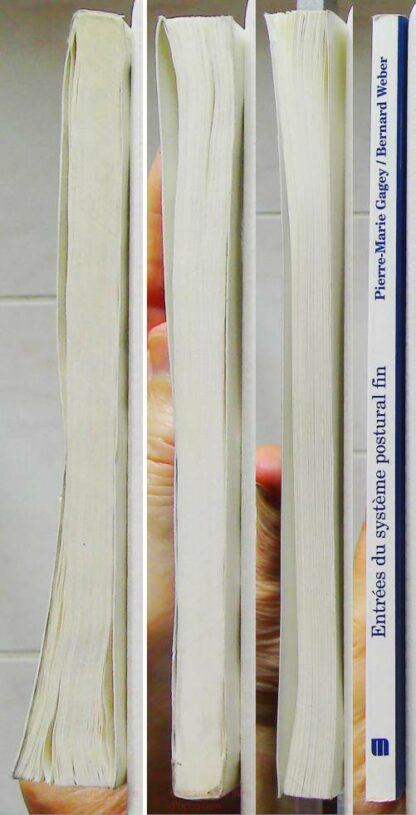 Entrees Du Systeme postural Fin. Premieres Journees Francaises De Posturologie Clinique – Image 9