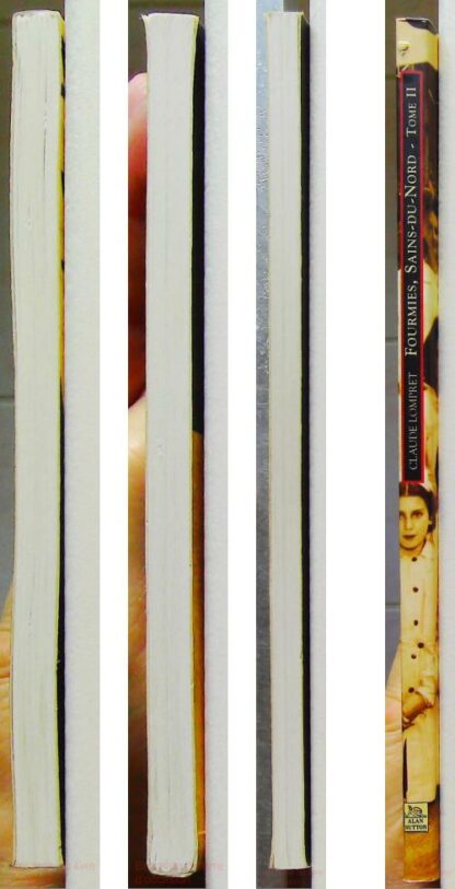 Fourmies - Tome II – Image 7