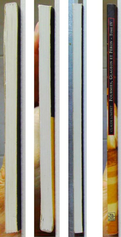 Fourmies - Tome IV – Image 8
