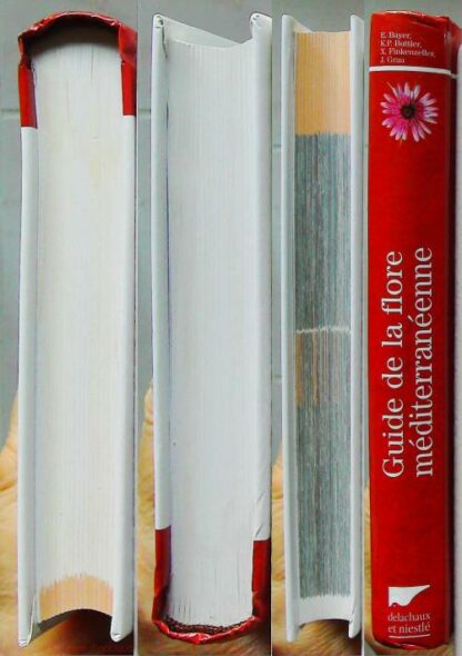 Guide de la flore méditerranéenne - Caractéristiques, habitat, distribution et particularités de 536 espèces – Image 7