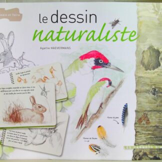 Le dessin naturaliste