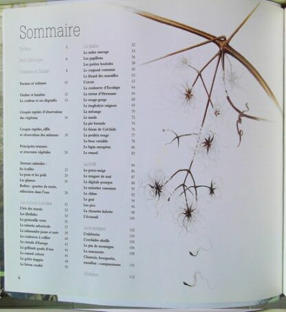 Le dessin naturaliste – Image 4