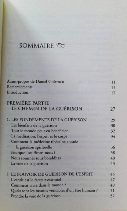 L'infini pouvoir de guerison de l'esprit – Image 6
