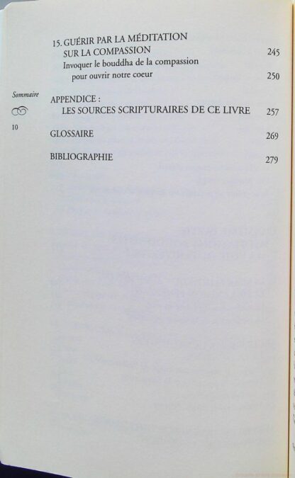 L'infini pouvoir de guerison de l'esprit – Image 11