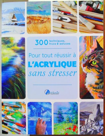 Pour tout réussir à l'acrylique sans stresser - 300 Techniques, Trucs & Astuces-