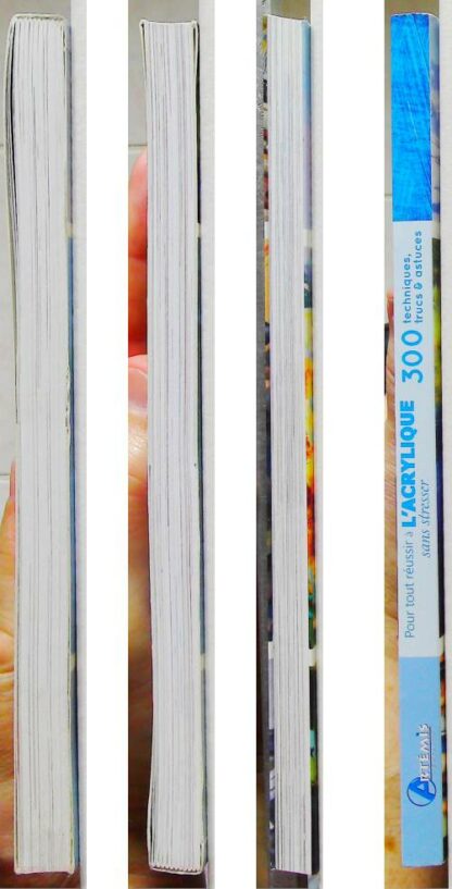 Pour tout réussir à l'acrylique sans stresser - 300 Techniques, Trucs & Astuces- – Image 2