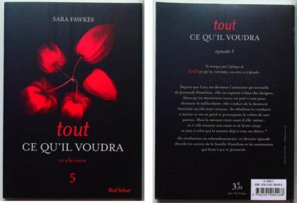 Tout ce qu'il voudra Coffret 5 volumes – Image 13