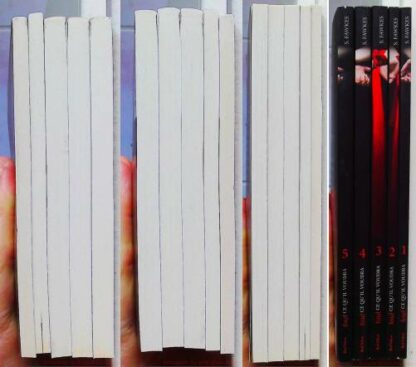 Tout ce qu'il voudra Coffret 5 volumes – Image 14