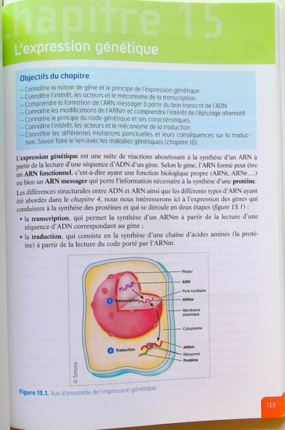 UE 2.1 - Biologie fondamentale - Semestre 1 (1re année) – Image 7