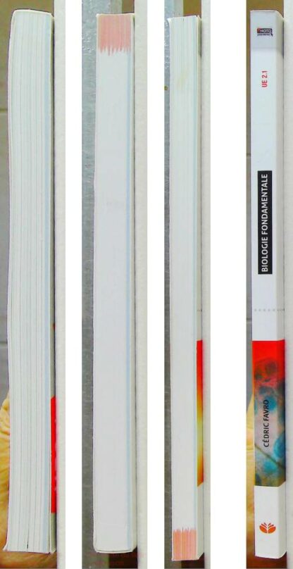 UE 2.1 - Biologie fondamentale - Semestre 1 (1re année) – Image 9