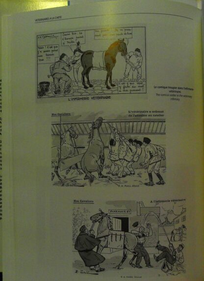 Vétérinaires à la carte – Image 5