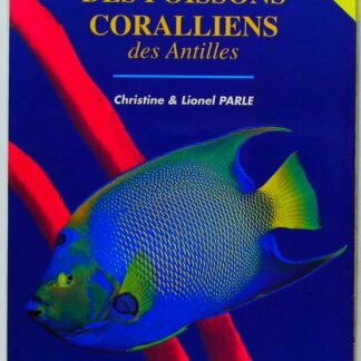 Guide des Poissons Coralliens des Antilles