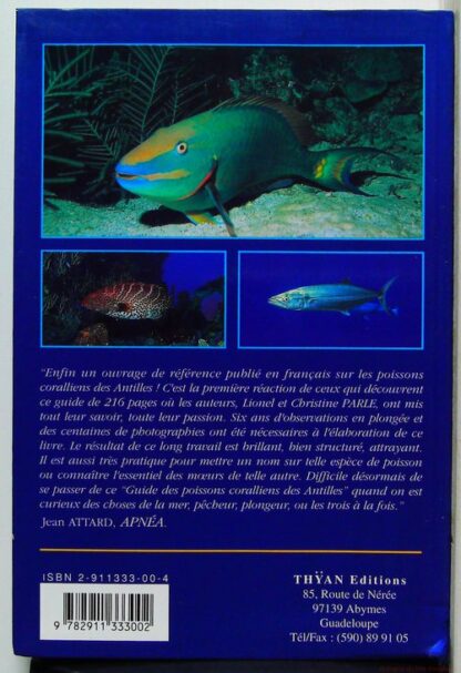 Guide des Poissons Coralliens des Antilles – Image 3