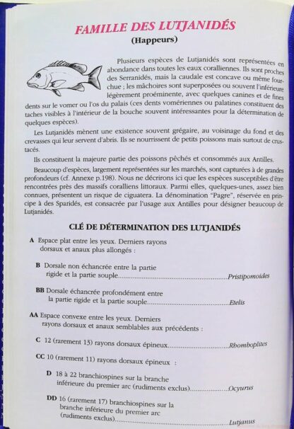 Guide des Poissons Coralliens des Antilles – Image 6