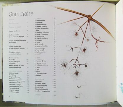 Le dessin naturaliste (2) – Image 4