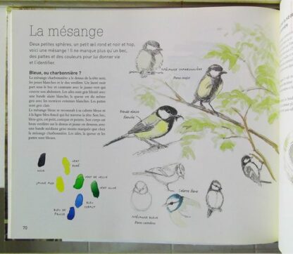 Le dessin naturaliste (2) – Image 6