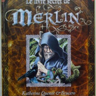 Le livre secret de Merlin