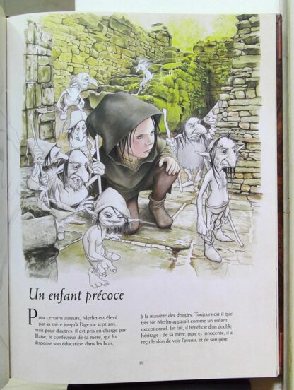 Le livre secret de Merlin – Image 5