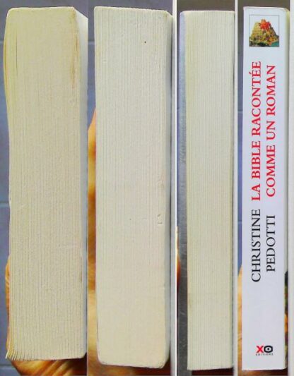 La Bible racontée comme un roman