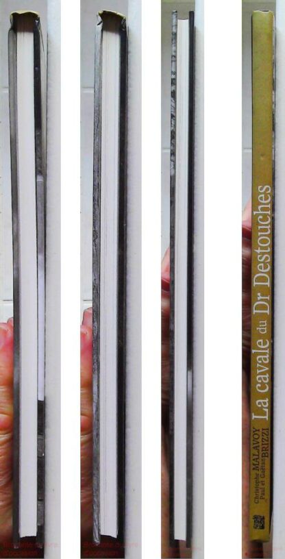 La cavale du Dr Destouches – Image 7