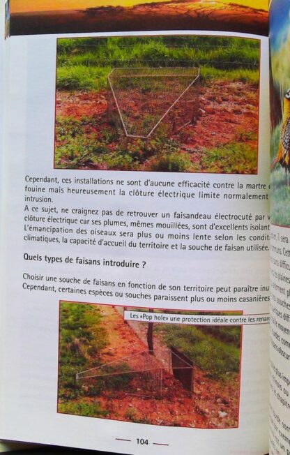 Le Faisan - Gibier D'Avenir – Image 8