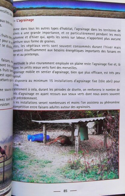 Le Faisan - Gibier D'Avenir – Image 9