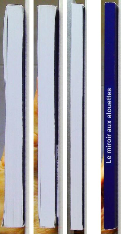 Le miroir aux alouettes – Image 9