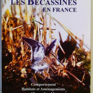Les bécassines en France