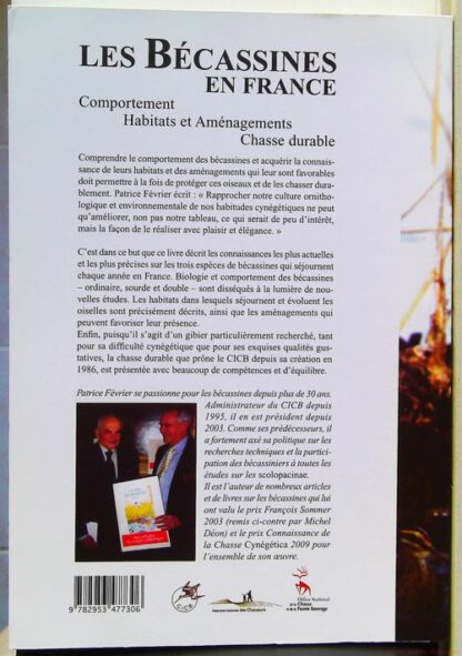 Les bécassines en France – Image 3