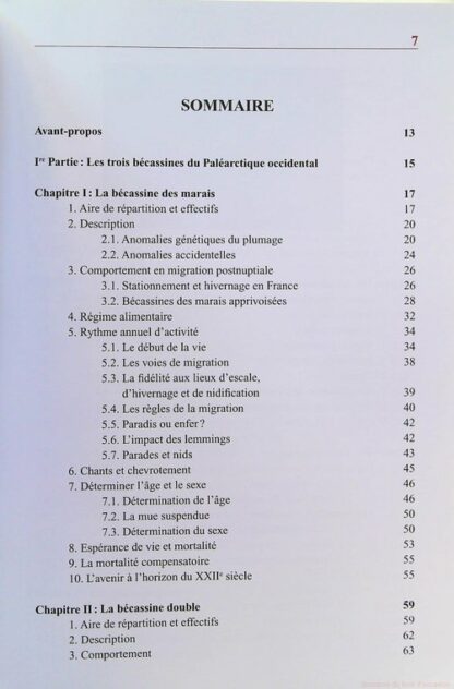 Les bécassines en France – Image 4