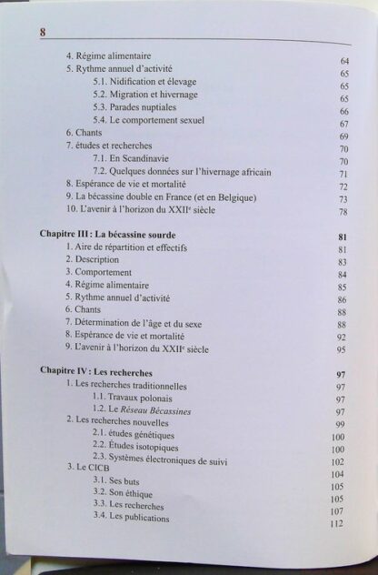 Les bécassines en France – Image 5
