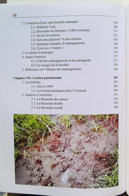 Les bécassines en France – Image 7