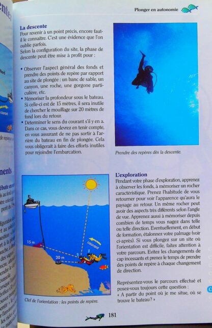 Plongée Plaisir - Niveaux 1 et 2 – Image 9