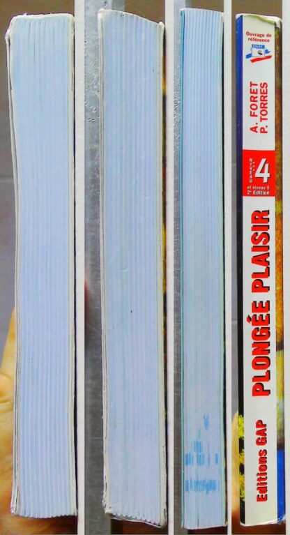 Plongée plaisir, niveau 4 et 5 - Conduite de palanquee et Direction de plongée – Image 9