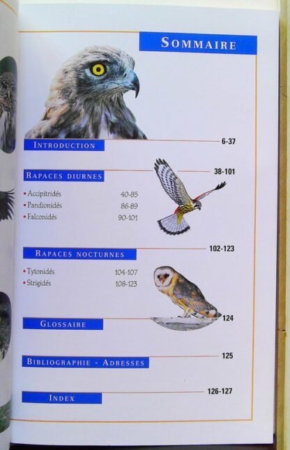 Rapaces de France – Image 4
