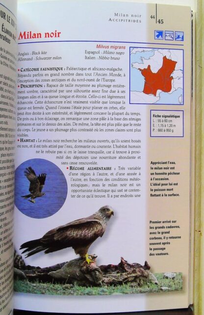 Rapaces de France – Image 5