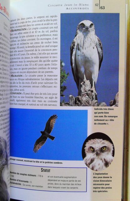 Rapaces de France – Image 6