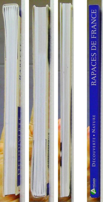 Rapaces de France – Image 7