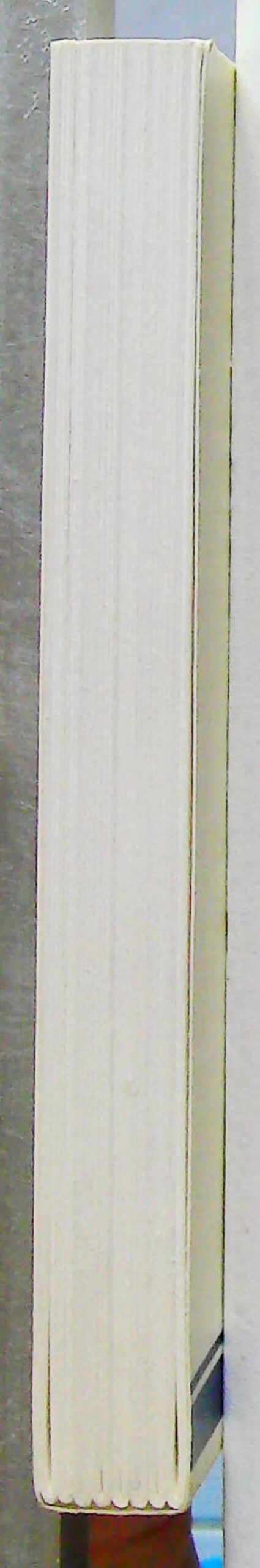 L'homme et la rhétorique, l'ecole de bruxelles – Image 6