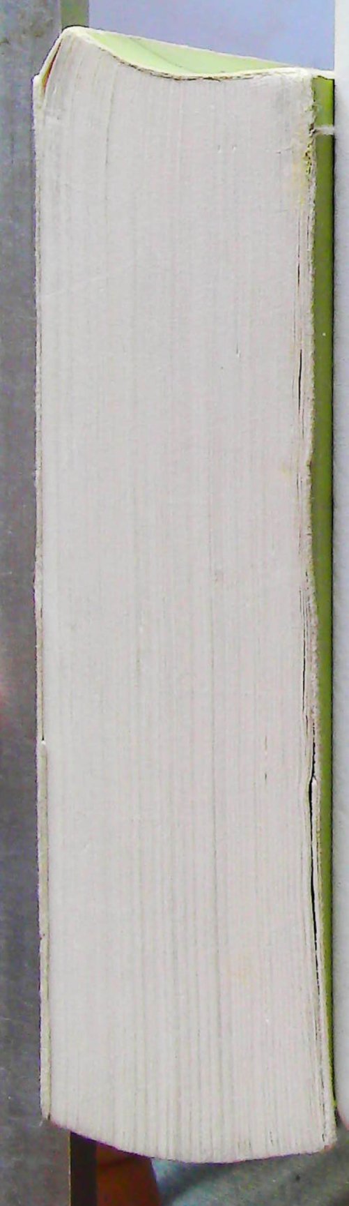 Metamorphoses de L'ame et Ses Symboles, Analyse des Prodromes d'une Schizophrenie – Image 6