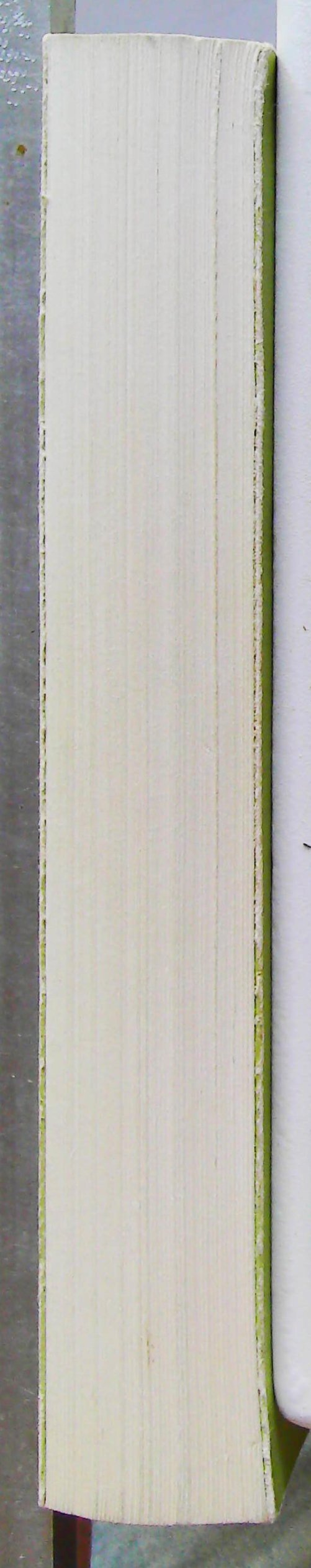 Metamorphoses de L'ame et Ses Symboles, Analyse des Prodromes d'une Schizophrenie – Image 7