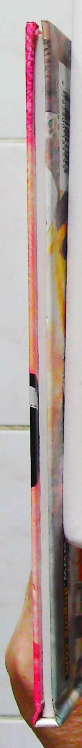 Pierre Tombal, tome 21 – Image 5