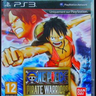 One Piece Pirate Warrior