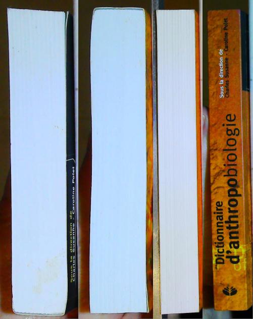 Dictionnaire d'anthropobiologie (2005) – Image 4