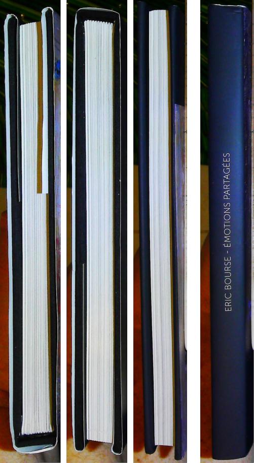 Emotions partagees – Image 4