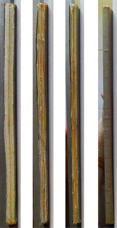 Eugène Motte 1860-1932 Hommages funéraires – Image 5