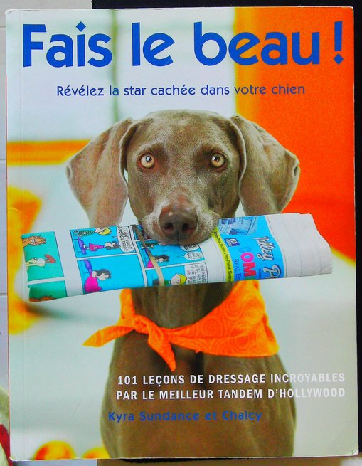 Fais le beau – 101 leçons de dressage incroyables par le meilleur tandem d'Hollywood
