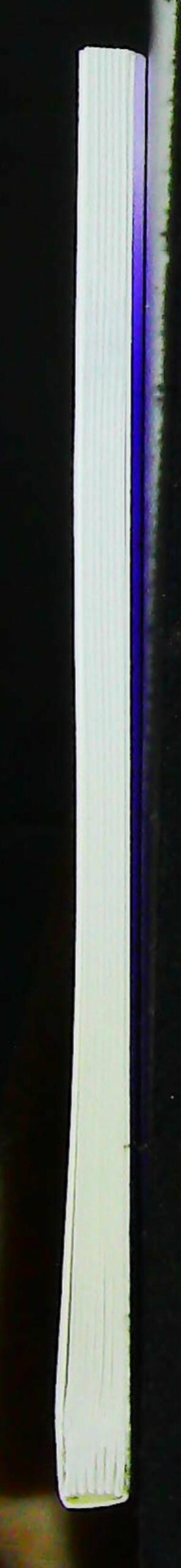 Kalachakra : La grande cérémonie du homa de Kalachakra – Image 4